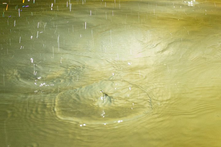 サンフアンでのアドベンチャーツアー：チャルコ・アズールでの洞窟水泳、滝、クリフダイビング、写真37 | wizardtrip
