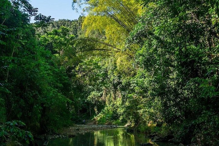 サンフアンでのアドベンチャーツアー：チャルコ・アズールでの洞窟水泳、滝、クリフダイビング、写真49 | wizardtrip