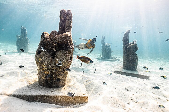 Snorkeling en famille à Cancún avec transport | wizardtrip