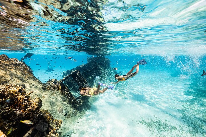 Family snorkeling tour in Cancun exploring coral reefs, underwater sculptures, shipwrecks, and cenotes, photo 7 | wizardtrip