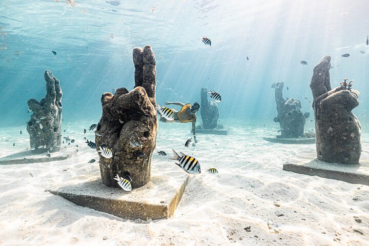 5-en-1 Snorkeling à Cancún : Tortues, Récif, MUSA, Épave, Cenote | wizardtrip