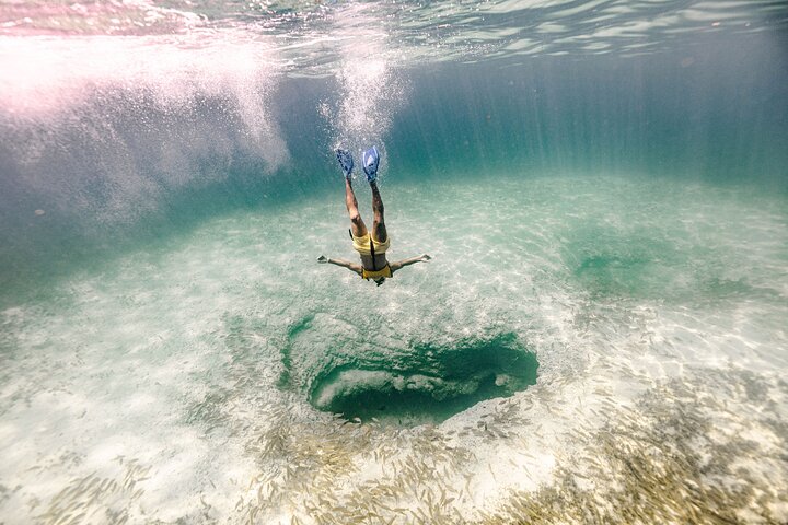 Cancun Schnorcheltour mit Korallenriffen, Unterwasserskulpturen, Meeresschildkröten, einem Schiffswrack und einer Cenote, Foto 6 | wizardtrip