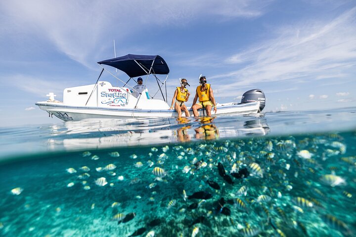 Cancun Schnorcheltour mit Korallenriffen, Unterwasserskulpturen, Meeresschildkröten, einem Schiffswrack und einer Cenote, Foto 7 | wizardtrip