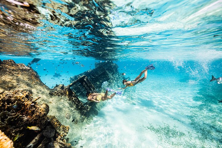 Cancun Schnorcheltour mit Korallenriffen, Unterwasserskulpturen, Meeresschildkröten, einem Schiffswrack und einer Cenote, Foto 9 | wizardtrip
