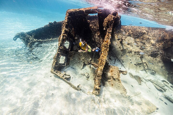 Cancun Schnorcheltour mit Korallenriffen, Unterwasserskulpturen, Meeresschildkröten, einem Schiffswrack und einer Cenote, Foto 10 | wizardtrip