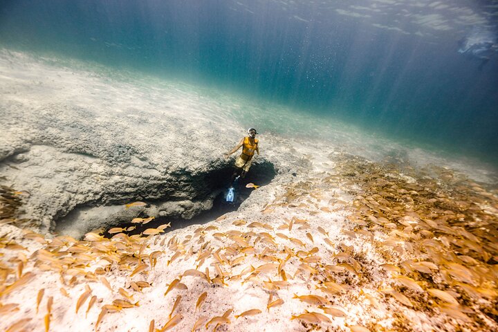 Cancun Schnorcheltour mit Korallenriffen, Unterwasserskulpturen, Meeresschildkröten, einem Schiffswrack und einer Cenote, Foto 12 | wizardtrip