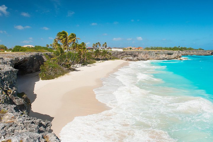360 graden tour van Barbados van een hele dag met ophaalservice | wizardtrip
