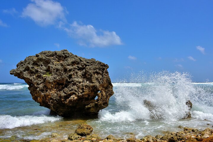 Tour completo dell'isola di Barbados, che mostra viste panoramiche, siti storici e bellissime spiagge, foto 5 | wizardtrip