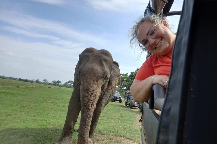 Safari privado em jeep nos parques nacionais do Sri Lanka para observar elefantes e outra vida selvagem, foto 8 | wizardtrip