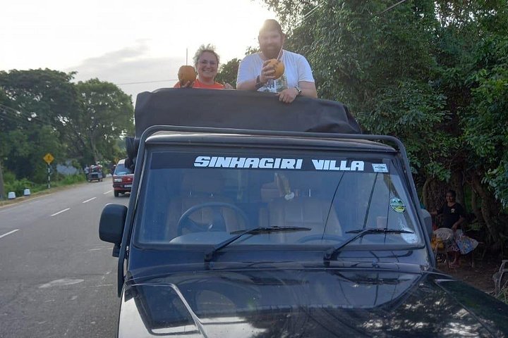 Safari privado em jeep nos parques nacionais do Sri Lanka para observar elefantes e outra vida selvagem, foto 10 | wizardtrip