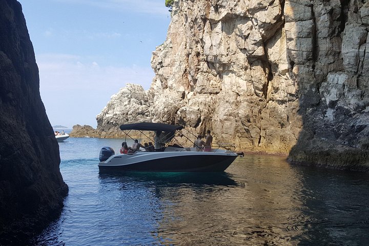 Speedboot tour die de Blauwe en Groene Grotten en Šunj Strand bij Dubrovnik verkent, foto 6 | wizardtrip