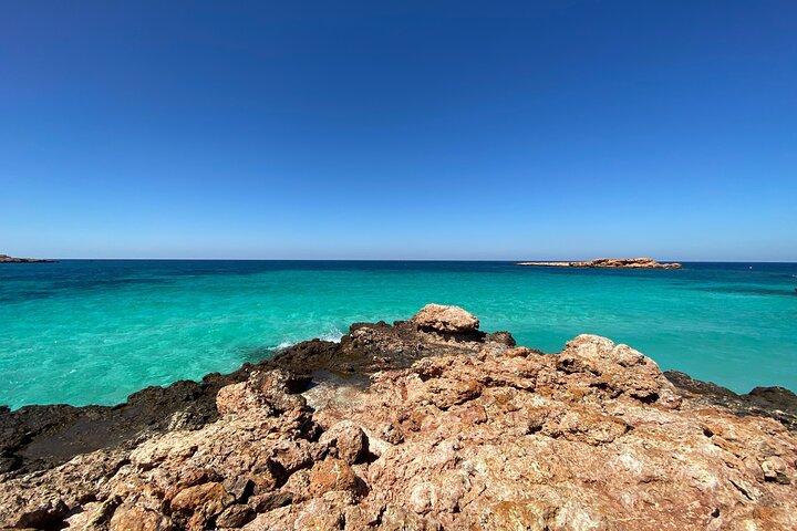 Snorkeling aux îles Dimaniyat et observation de dauphins (demi-journée) | wizardtrip