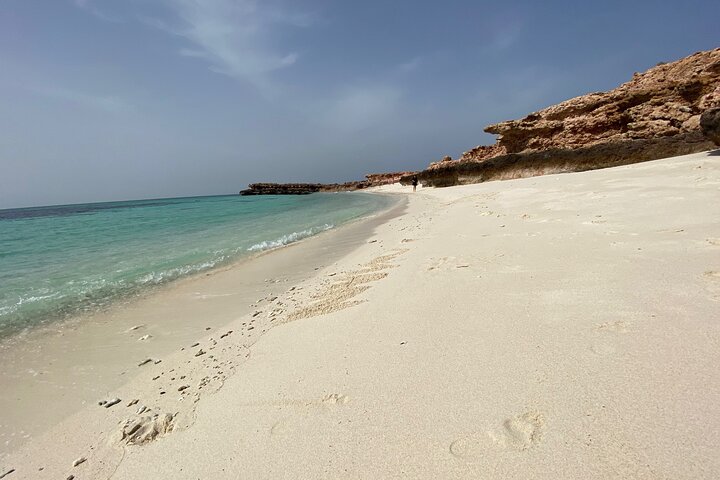 Excursion d'une demi-journée de snorkeling et d'observation de dauphins aux îles Dimaniyat, Oman, photo 7 | wizardtrip
