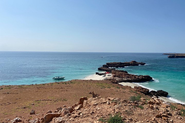 Excursion d'une demi-journée de snorkeling et d'observation de dauphins aux îles Dimaniyat, Oman, photo 11 | wizardtrip