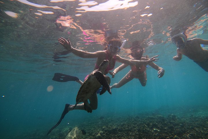 Excursion d'une demi-journée de snorkeling et d'observation de dauphins aux îles Dimaniyat, Oman, photo 14 | wizardtrip