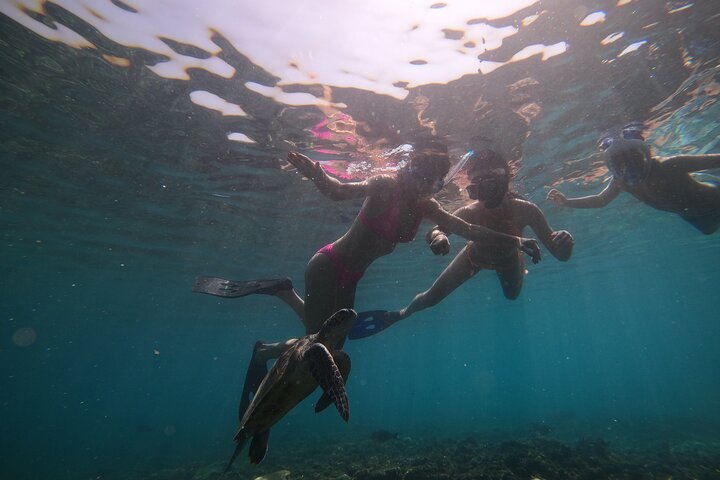 Excursion d'une demi-journée de snorkeling et d'observation de dauphins aux îles Dimaniyat, Oman, photo 15 | wizardtrip