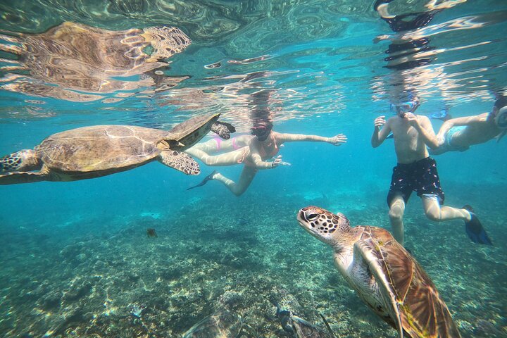 Excursion d'une demi-journée de snorkeling et d'observation de dauphins aux îles Dimaniyat, Oman, photo 18 | wizardtrip