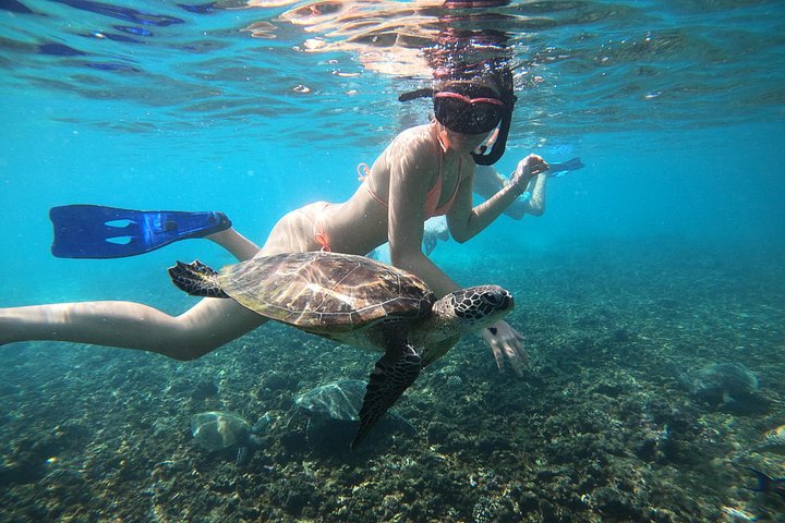 Excursion d'une demi-journée de snorkeling et d'observation de dauphins aux îles Dimaniyat, Oman, photo 19 | wizardtrip