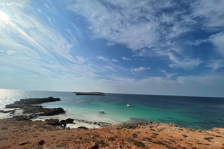 Excursion d'une demi-journée de snorkeling et d'observation de dauphins aux îles Dimaniyat, Oman, photo 21 | wizardtrip