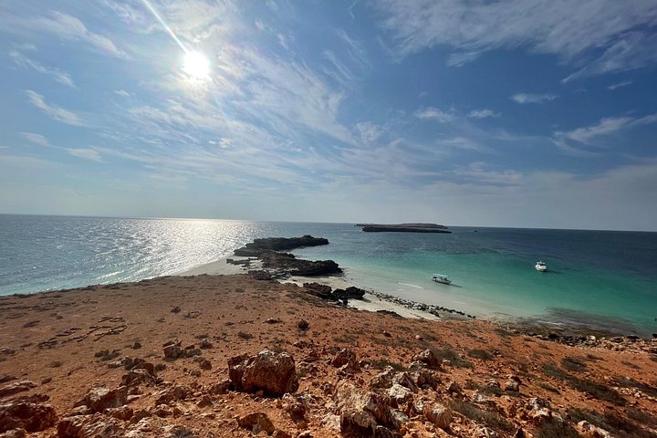 Excursion d'une demi-journée de snorkeling et d'observation de dauphins aux îles Dimaniyat, Oman, photo 24 | wizardtrip