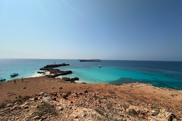Excursion d'une demi-journée de snorkeling et d'observation de dauphins aux îles Dimaniyat, Oman, photo 26 | wizardtrip