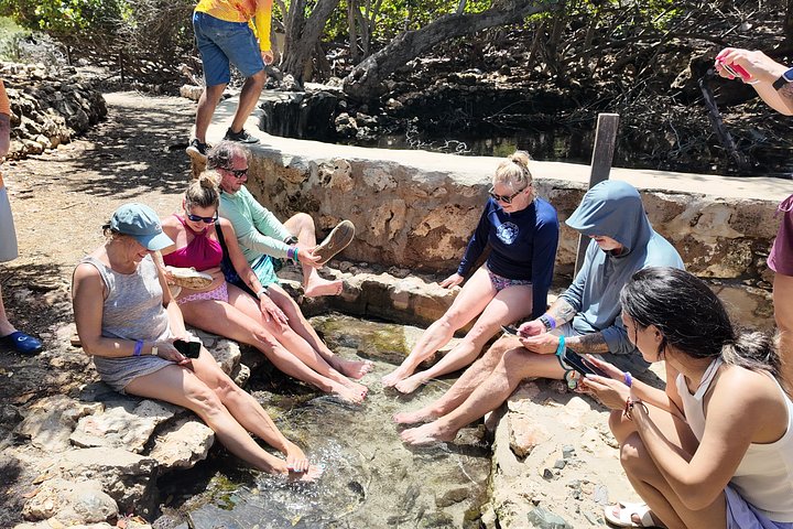 Jeep-safariäventyr som utforskar Arikok National Park, Aruba, inklusive naturlig pool och grottor, foto 17 | wizardtrip