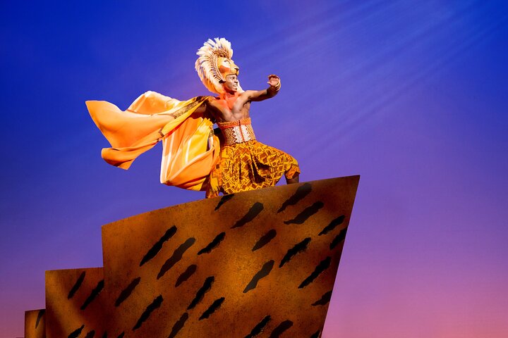 The Lion King On Broadway Ticket | wizardtrip
