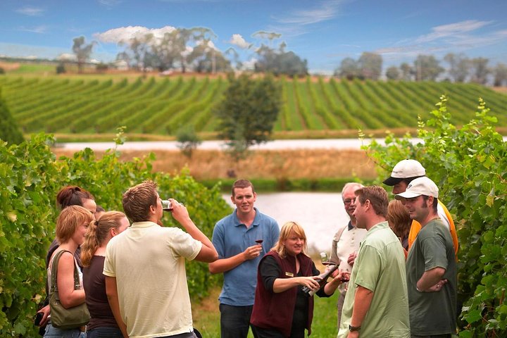 Yarra Valley Wine & Winery Tour depuis Melbourne - Tout Inclus ! | wizardtrip