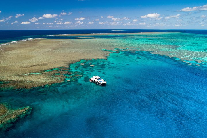 Calypso Outer Great Barrier Reef Cruise ab Port Douglas | wizardtrip