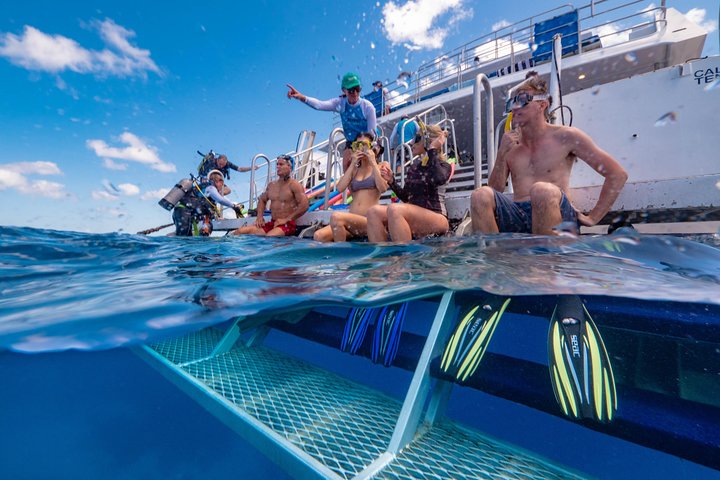 Luxuskreuzfahrt zum Great Barrier Reef zum Schnorcheln und Tauchen, Foto 7 | wizardtrip