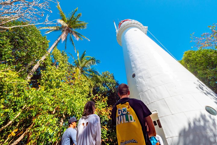 Tour de snorkel e barco com fundo de vidro nas Low Isles, Port Douglas, foto 6 | wizardtrip