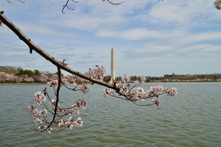 A guided tour of Washington DC's iconic monuments and landmarks, photo 26 | wizardtrip