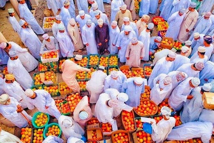 Excursion privée d'une journée explorant le fort de Nizwa, le souk et les montagnes pittoresques de Jebel Akhdar à Oman, photo 6 | wizardtrip