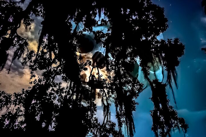 Nighttime bus tour exploring haunted cemeteries and locations in New Orleans, photo 9 | wizardtrip