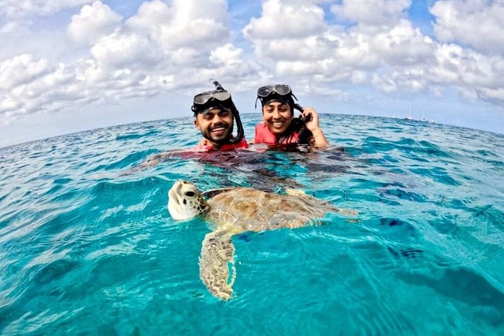 Aruba Turtle Snorkeling Private Tour mit Unterwasseraufnahmen | wizardtrip