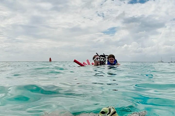 Privat Aruba skildpadde snorklingtur med professionel undervandsvideooptagelse, foto 6 | wizardtrip