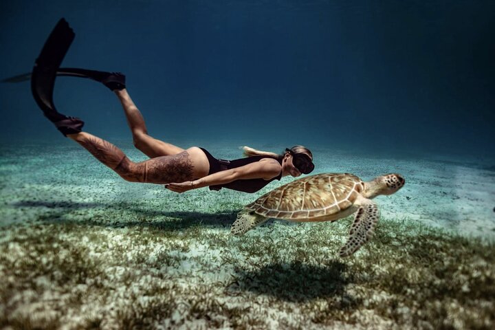 Privat Aruba skildpadde snorklingtur med professionel undervandsvideooptagelse, foto 11 | wizardtrip