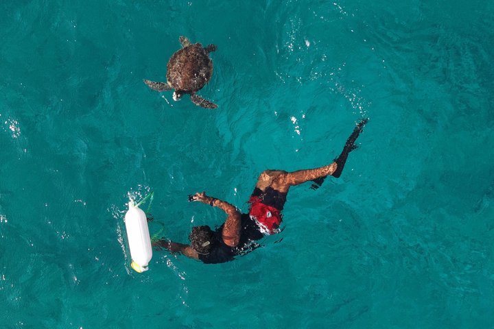 Privat Aruba skildpadde snorklingtur med professionel undervandsvideooptagelse, foto 19 | wizardtrip