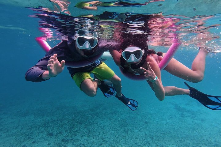 Privat Aruba skildpadde snorklingtur med professionel undervandsvideooptagelse, foto 24 | wizardtrip