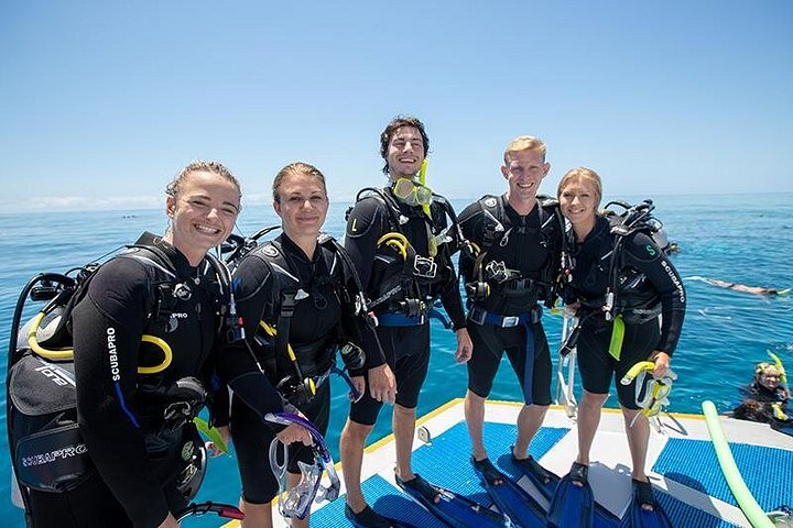 Snorkel- en duikcruise op het Great Barrier Reef vanuit Cairns, Australië, foto 6 | wizardtrip