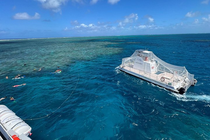 Snorkel- en duikcruise op het Great Barrier Reef vanuit Cairns, Australië, foto 8 | wizardtrip