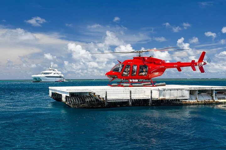 Snorkel- en duikcruise op het Great Barrier Reef vanuit Cairns, Australië, foto 9 | wizardtrip