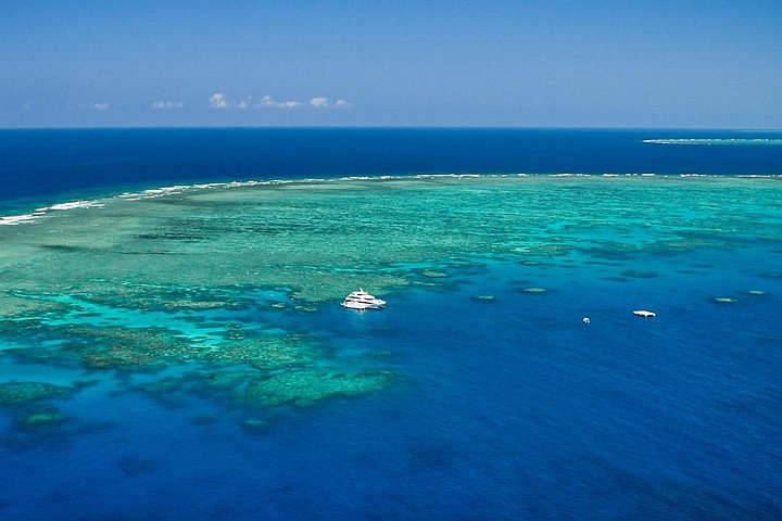 Heldagskryssning till revet och naturskön helikoptertur över Stora barriärrevet från Cairns, foto 6 | wizardtrip