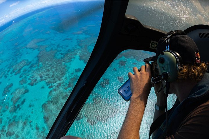 Heldagskryssning till revet och naturskön helikoptertur över Stora barriärrevet från Cairns, foto 9 | wizardtrip