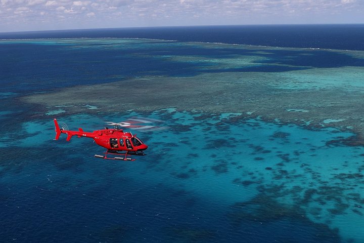 Heldagskryssning till revet och naturskön helikoptertur över Stora barriärrevet från Cairns, foto 11 | wizardtrip
