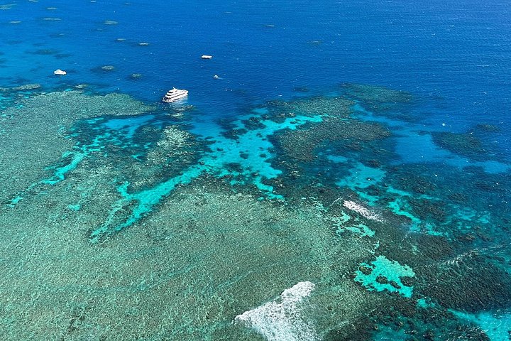 Heldagskryssning till revet och naturskön helikoptertur över Stora barriärrevet från Cairns, foto 13 | wizardtrip