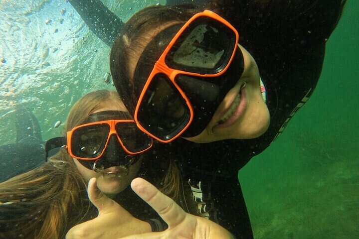 Snorkelen met zeekoeien in kleine groepen in Crystal River, Florida, met inbegrepen foto's en uitrusting, foto 9 | wizardtrip
