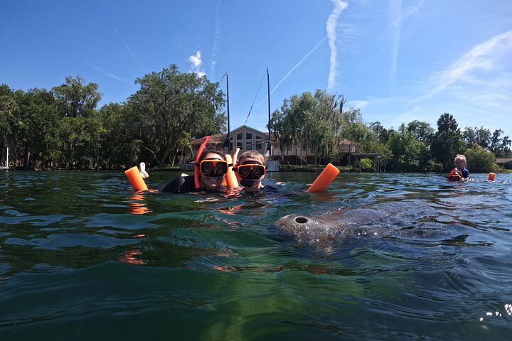 Snorkelen met zeekoeien in kleine groepen in Crystal River, Florida, met inbegrepen foto's en uitrusting, foto 11 | wizardtrip