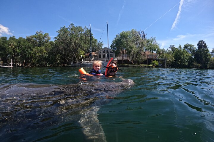 Snorkelen met zeekoeien in kleine groepen in Crystal River, Florida, met inbegrepen foto's en uitrusting, foto 12 | wizardtrip