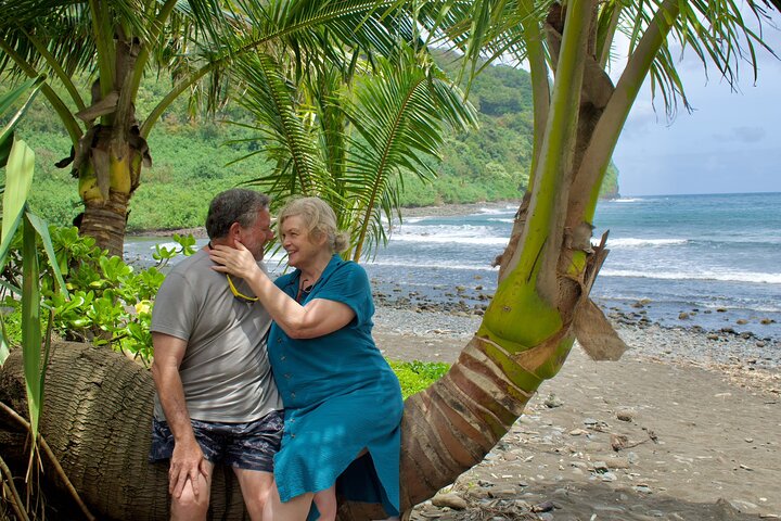 Private VIP-Tour entlang Mauis malerischer Road to Hana mit Wasserfällen, Stränden und üppigen Landschaften, Foto 8 | wizardtrip